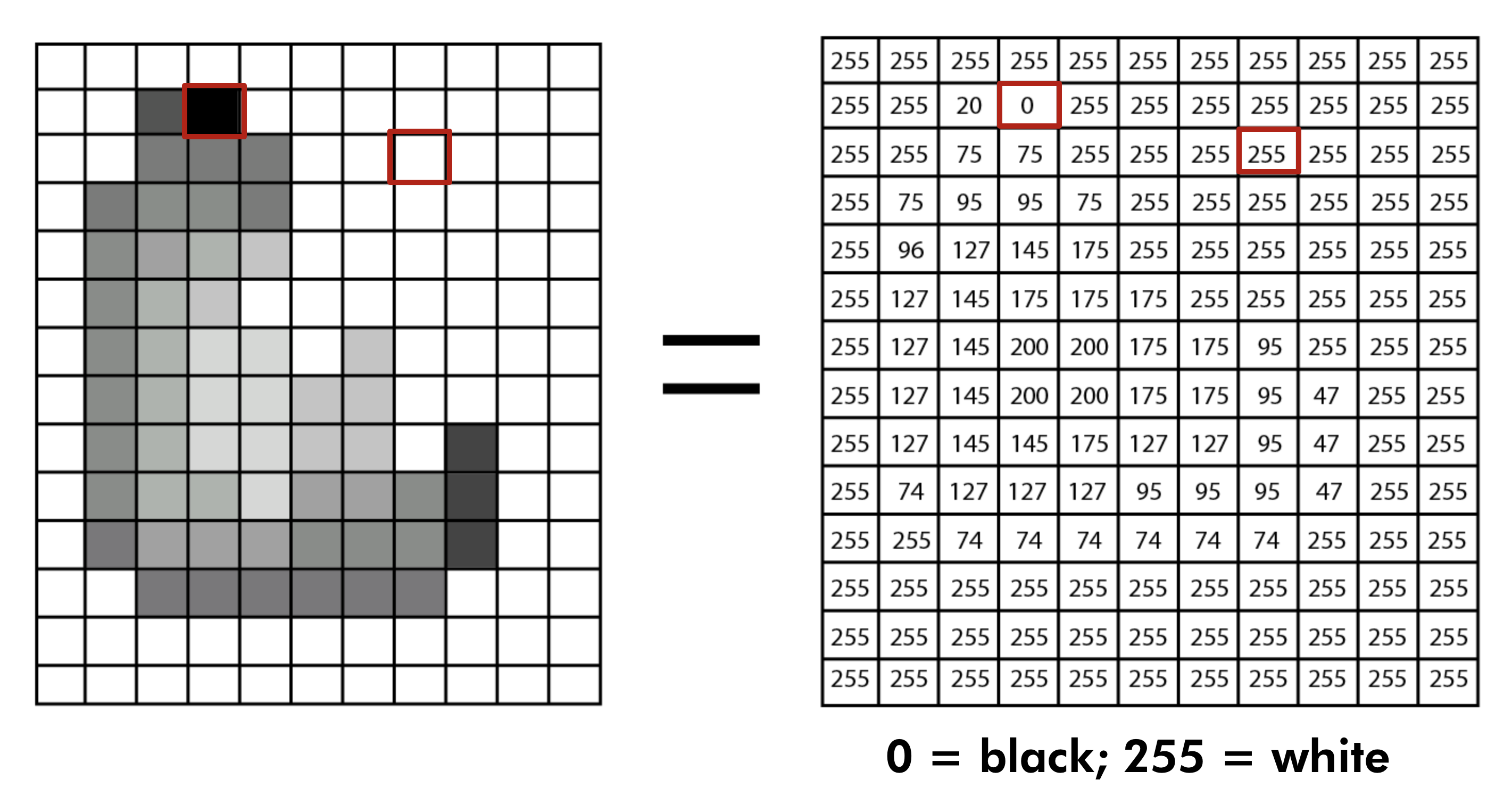 digital representation and analysis of shapes