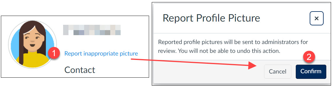 Canvas Profile Picture Reporting Interface Update for students
