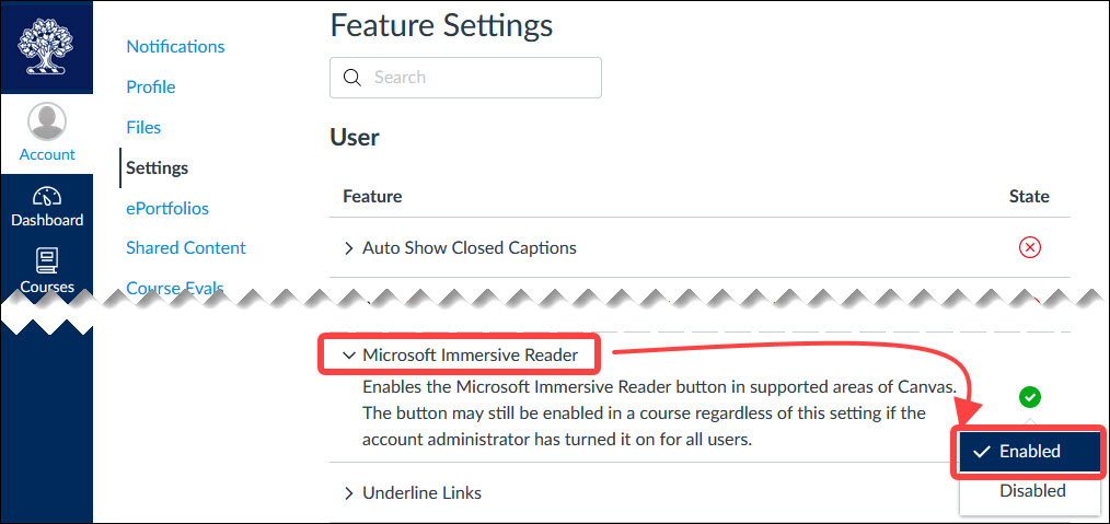 Canvas User Account Settings area with Microsoft Immersive Reader Enabled