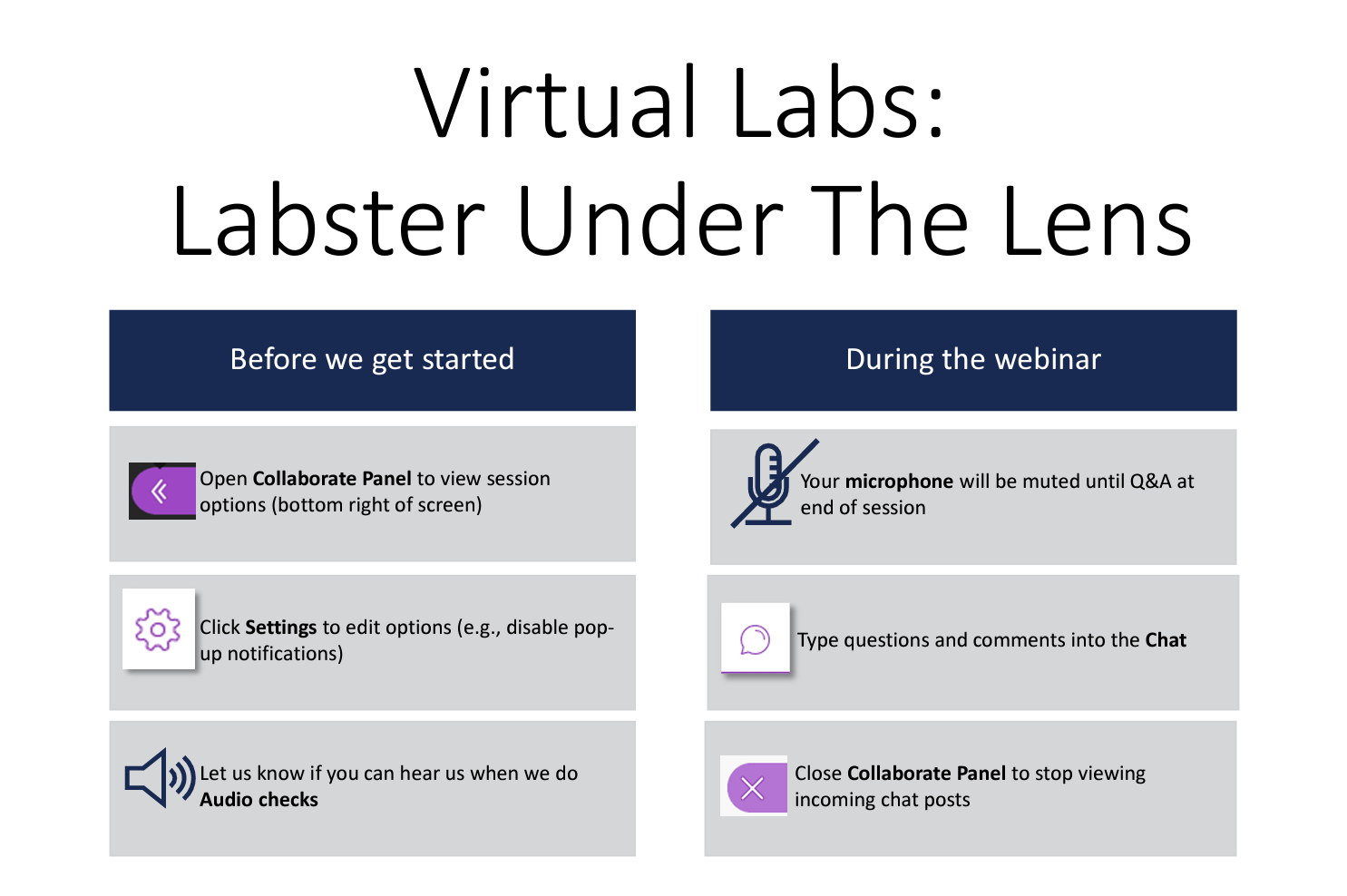 This image shows a presentation slide titled 'Virtual Labs: Labster Under The Lens'. It is divided into two sections with instructions for participants. On the left, under 'Before we get started', there are three icons with text: a panel icon indicating to open the Collaborate Panel to view session options, a gear icon for settings to edit options like disabling pop-up notifications, and a speaker icon for audio checks. On the right, under 'During the webinar', there are icons indicating that the microphone will be muted until the Q&A session, prompting users to type questions into the chat, and to close the Collaborate Panel to stop viewing chat posts.