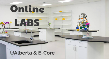 Online labs cover picture
