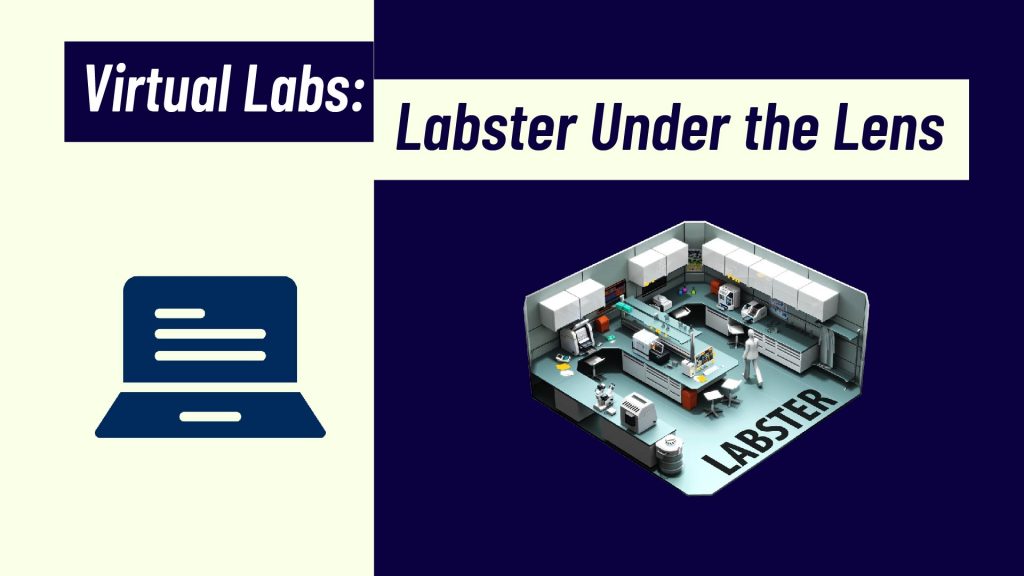 virtual_labs-01-01-01-01