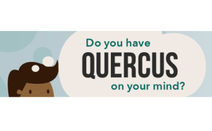 A banner featuring cartoon figures with speech bubbles that say "Do you have QUERCUS on your mind?"