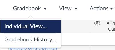 Screenshot showing how to switch to Individual view in the Gradebook in Quercus