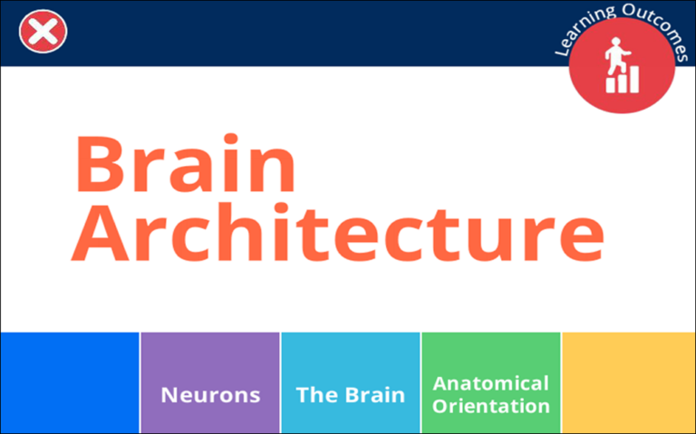 Featured image for Cognitive Psychology for Engineers project
